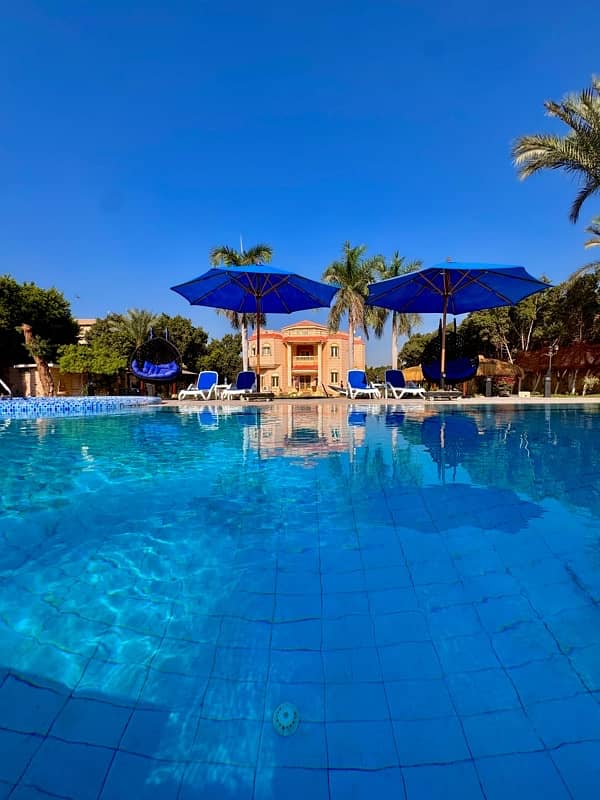 Sakkara Royal House فيلا ايجار على طريق سقارة السياحى بجانب هرم جيزة Sakkara Royal House فيلا ايجار على طريق سقارة السياحى بجانب هرم جيزة