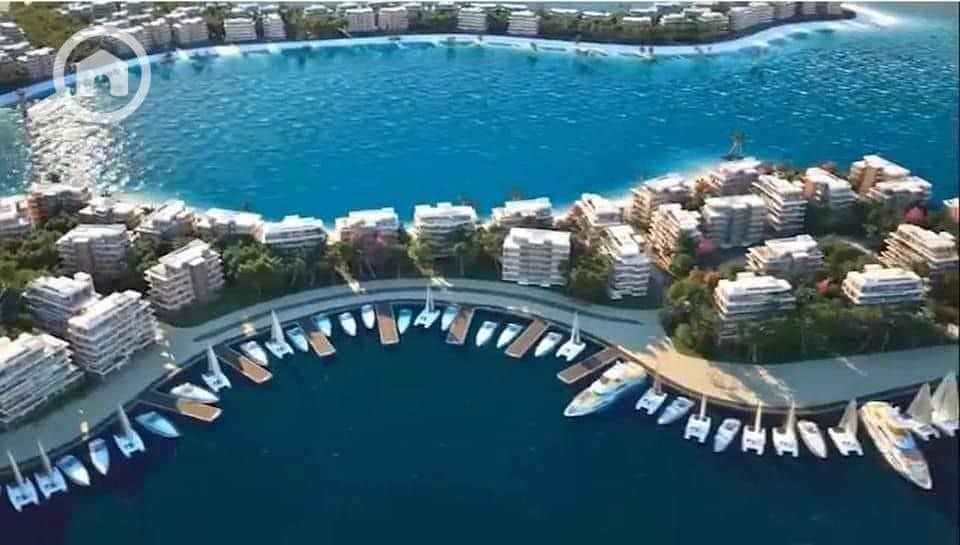 2 51a6e475-008b-4d1a-9c37-e036be355245. jpeg