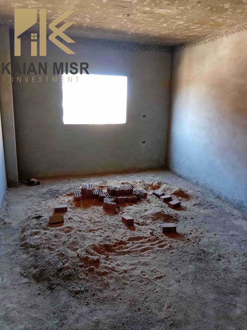 6 20250221_232645. jpg