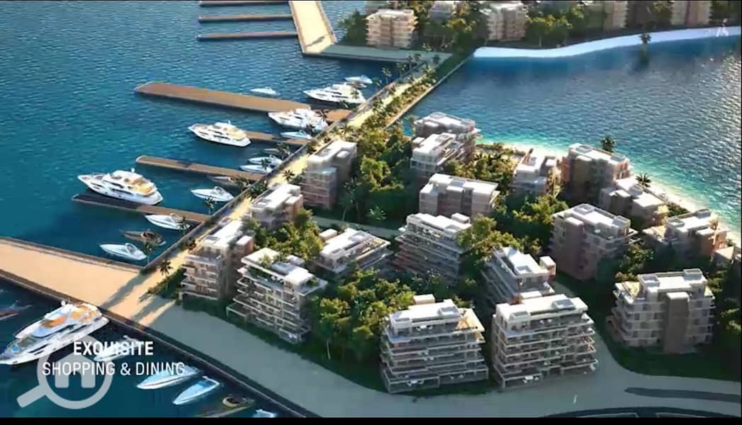 9 0c8d3f01-36e5-4f99-b88c-ba63dde2b475. jpeg