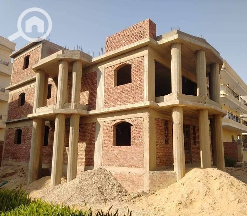 2 photo_1_2025-11-05_10-52-34. jpg