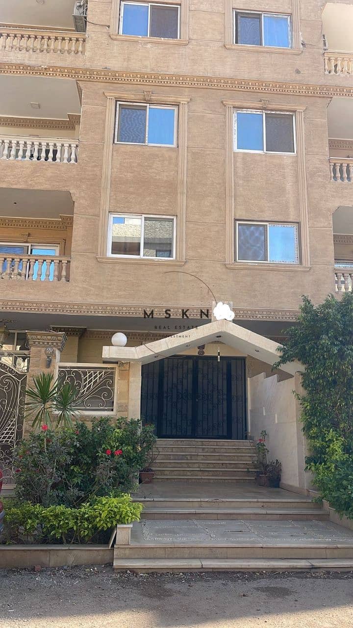 5 photo_2025-11-05 11.20. 08. jpeg