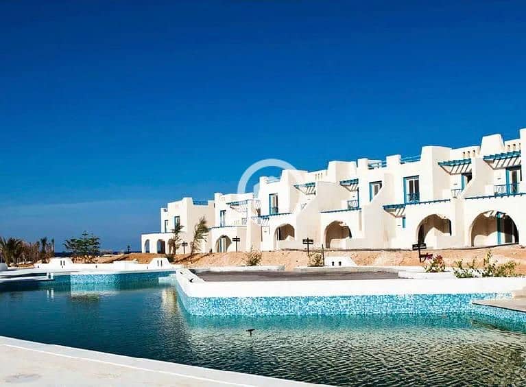 4 a5926641-22c5-4550-a4f6-8d5a846fbc95. jpg