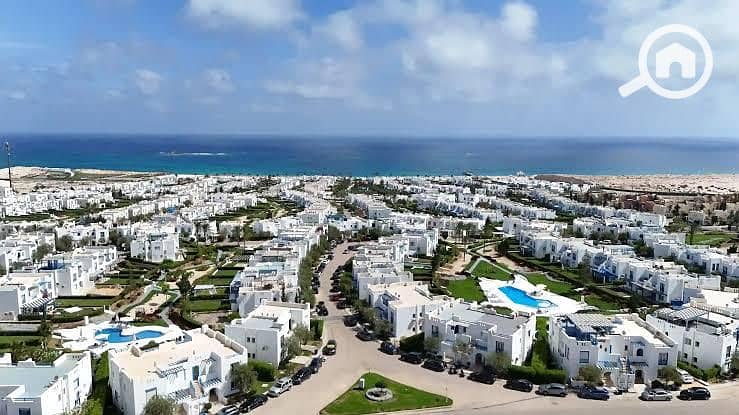 5 d1168fb5-cc2a-4080-a005-fdfd4aad174e. jpg