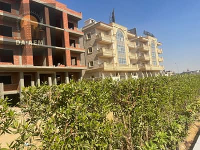 Residential Land for Sale in New Cairo, Cairo - WhatsApp Image 2025-10-29 at 3.09. 05 PM (1). jpeg
