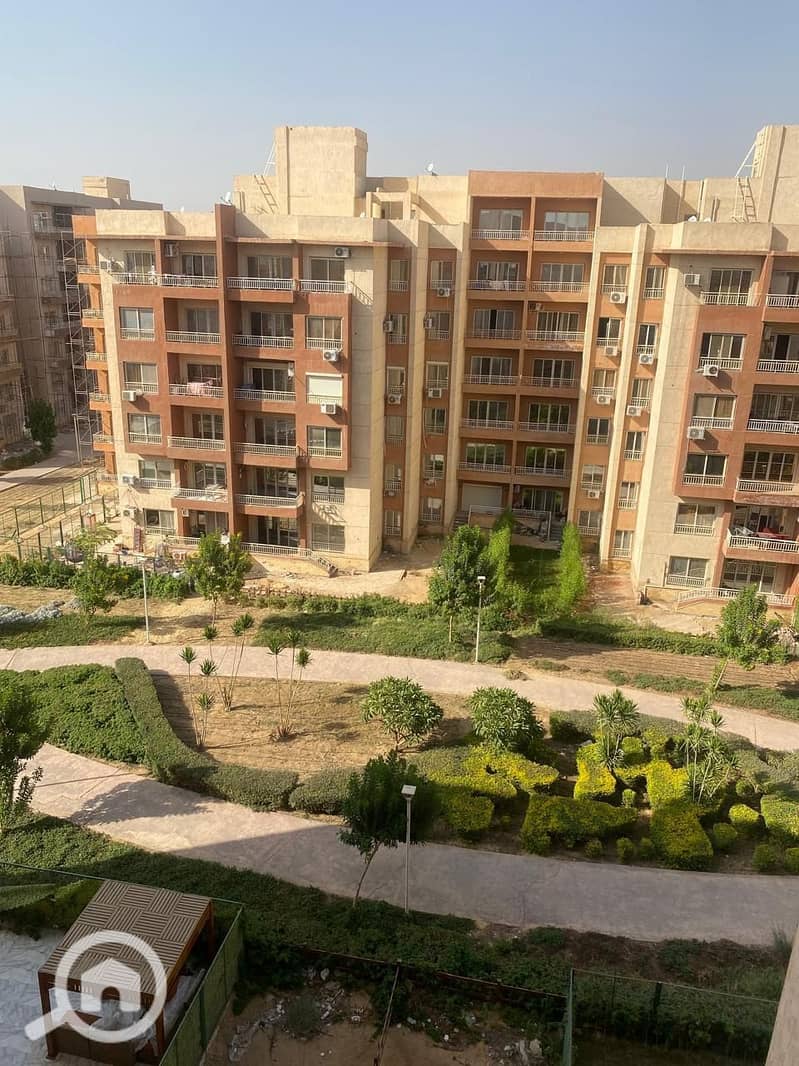 photo_1_2025-11-05_11-46-33. jpg