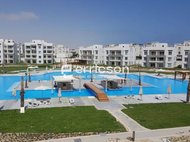 Untitled design (1). jpg Untitled design (1). jpg