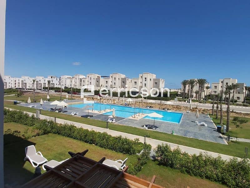 3 Untitled design (3). jpg