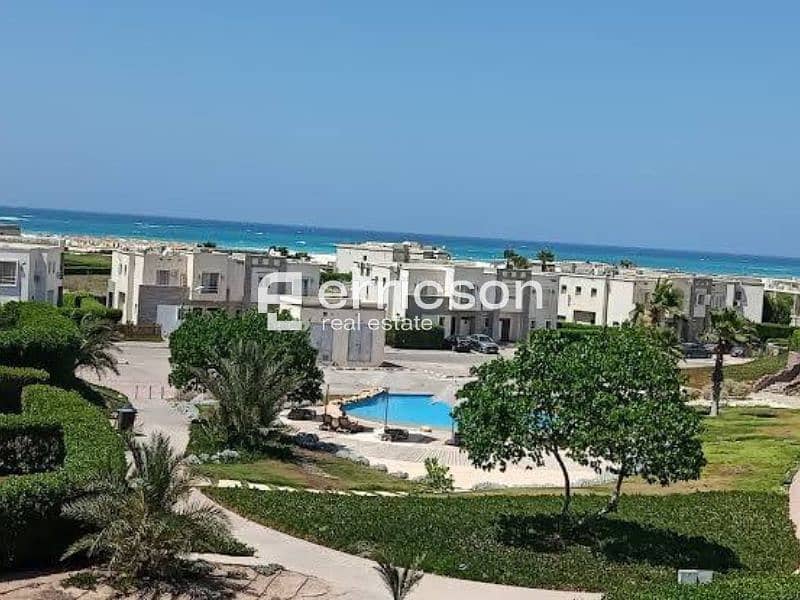 5 Untitled design (5). jpg