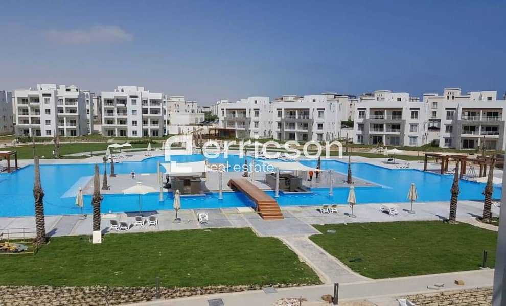 23 506374402_2124654238016161_8805841664289263712_n. jpg