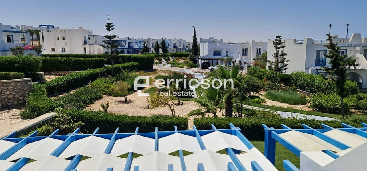 4 455025259_365303983282175_3687102199896750335_n. jpg