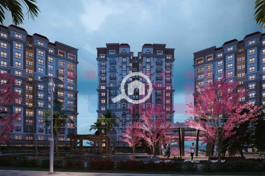 4 IMG-20250828-WA0015. jpg