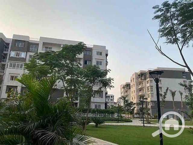 3 44a4760d-2b9e-47b4-ad82-eb77b5294217. jpg