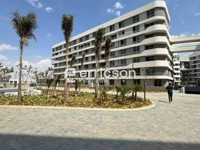 12 Untitled design (5). jpg