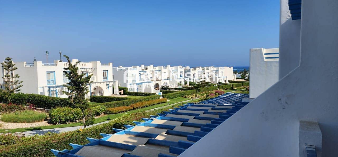 4 455019854_365303906615516_4010414834780926888_n. jpg