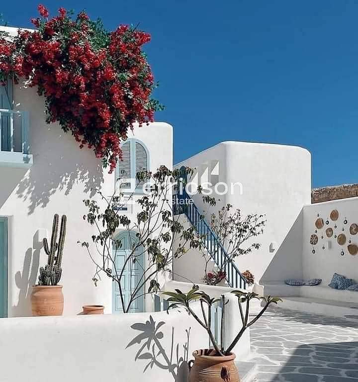 13 455249248_122172727736190845_3381086467291544871_n. jpg