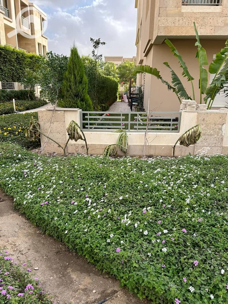 2 IMG-20250121-WA0325. jpg