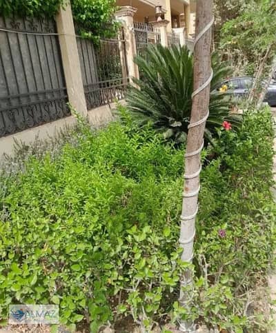 3 Bedroom Duplex for Sale in New Cairo, Cairo - WhatsApp Image 2025-11-05 at 10.59. 36 AM. jpeg