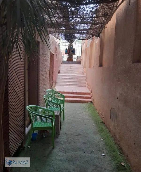 2 WhatsApp Image 2025-11-05 at 10.59. 33 AM. jpeg