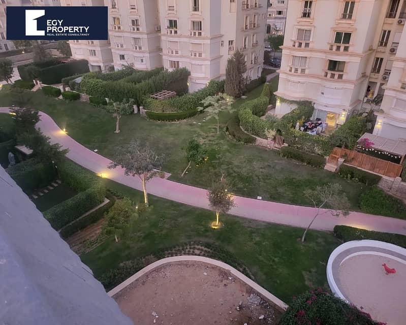 5 _files_WhatsApp Image 2025-08-11 at 17.20. 43. jpeg