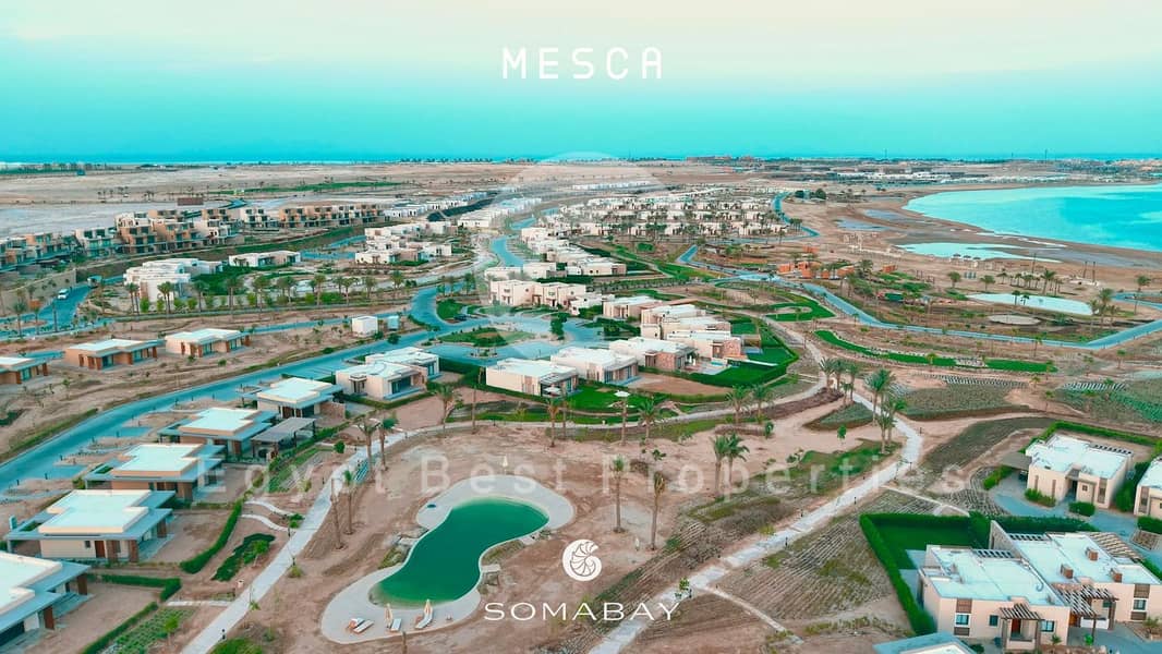 5 WhatsApp Image 2025-09-28 at 18.06. 50_05bba8da. jpg