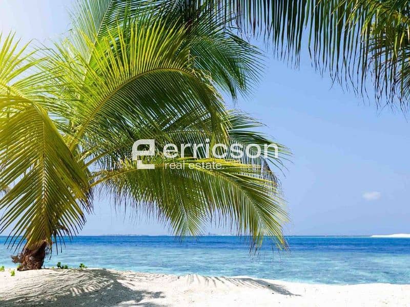 Untitled design (1). jpg Untitled design (1). jpg