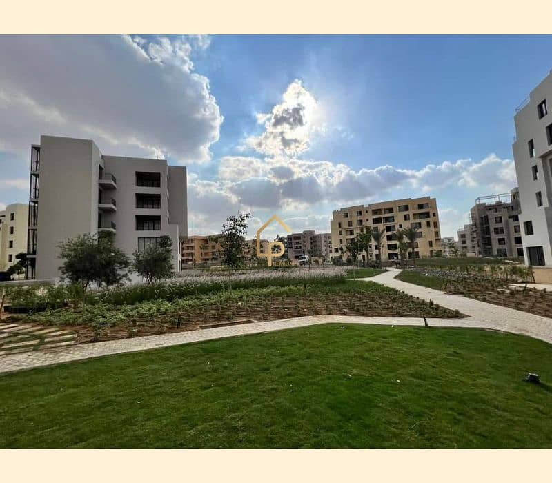 2 401576533_876616744110052_5738642807002242460_n. jpg