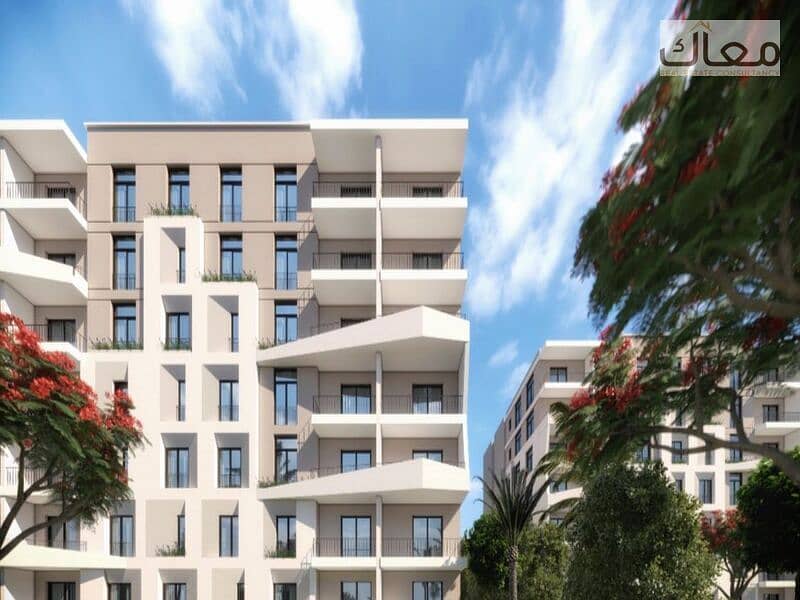 7 WhatsApp Image 2024-08-28 at 11.07. 52 AM. jpeg