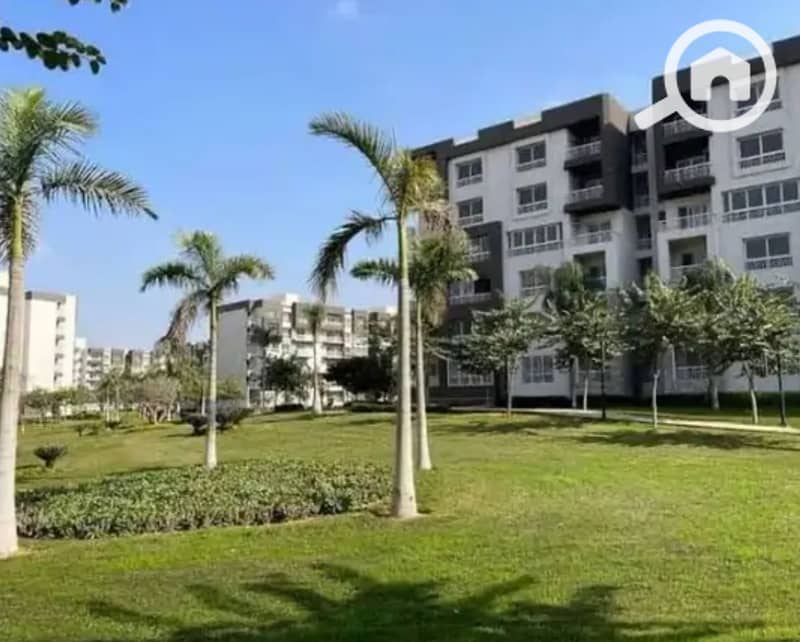 4 14a53d8f-4804-431c-9960-0af147309983. jpg