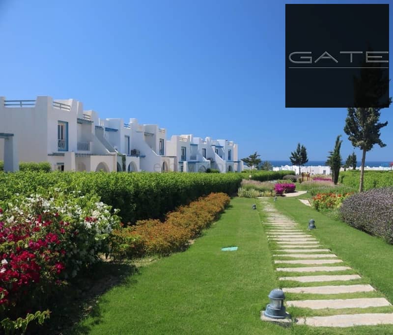 11 339778151_1699676727114344_3145875485464808452_n. jpg