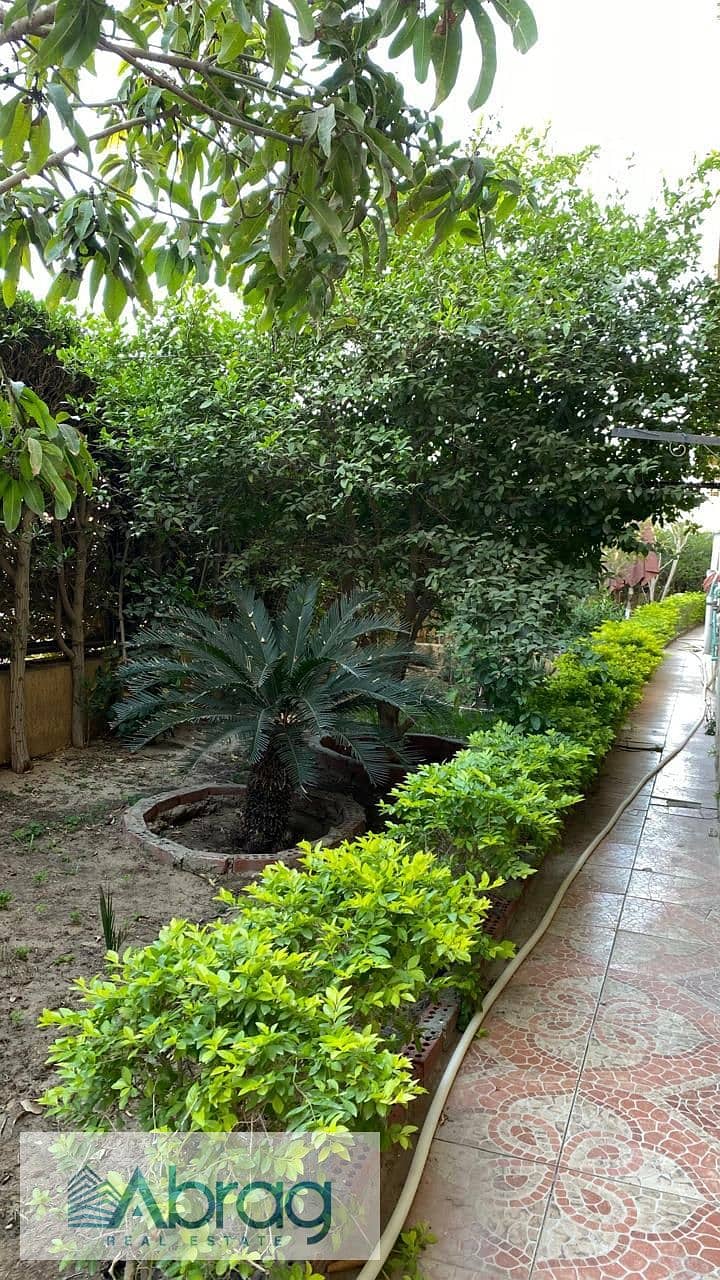 4 WhatsApp Image 2025-10-01 at 5.20. 24 PM (1). jpeg