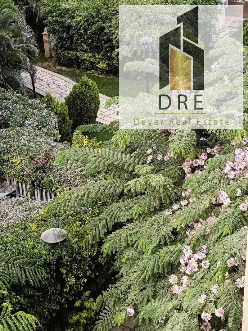 12 e73a25a7-79cb-427f-9939-626c1da18564. jpg