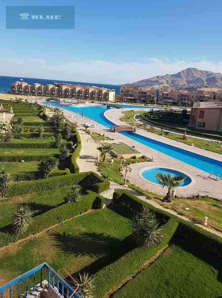 1004030490. jpg 1004030490. jpg