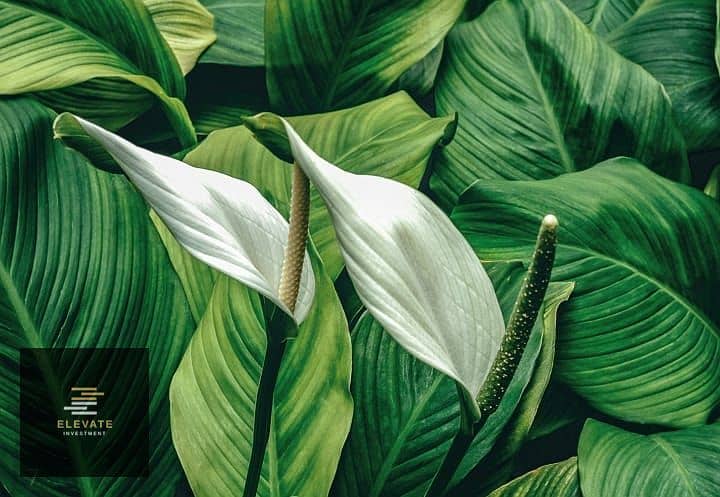 6 WhatsApp Image 2025-11-04 at 12.41. 32 PM. jpeg