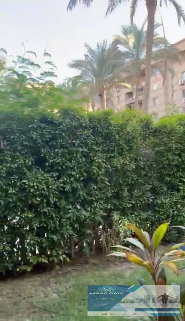 11 e99fde52-869d-4a01-86cf-cc5da6521ae5. jpg