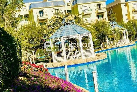 6 bf7526e3-dcd7-11ed-ae78-0281a528b874. jpg