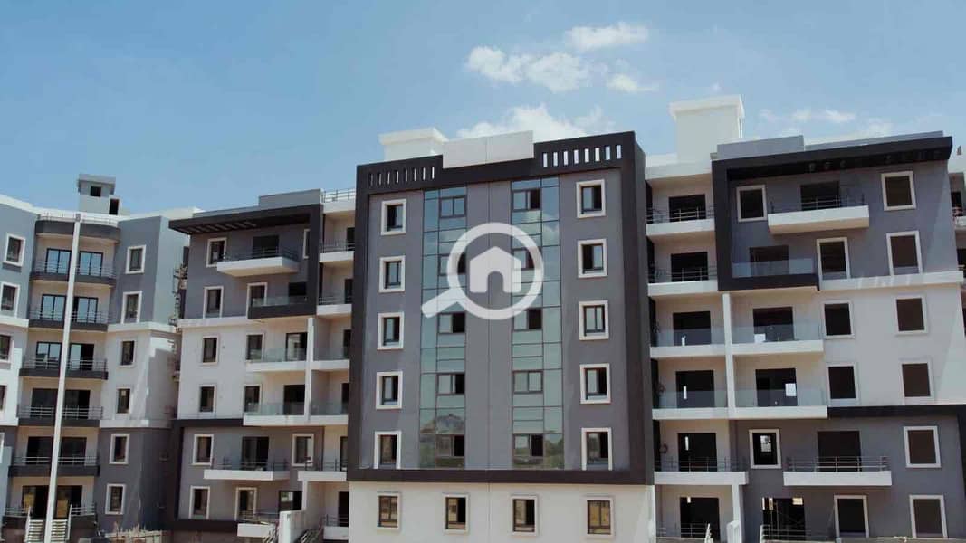 3 1d888672-89f1-46dd-8cdb-37ec998a0058. jpg