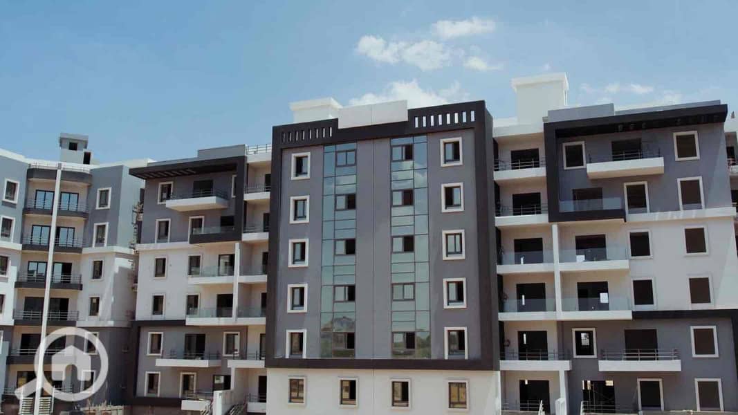 10 1d888672-89f1-46dd-8cdb-37ec998a0058. jpg