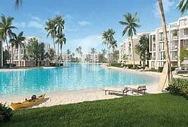 2 OIP (5) - Copy. jpeg