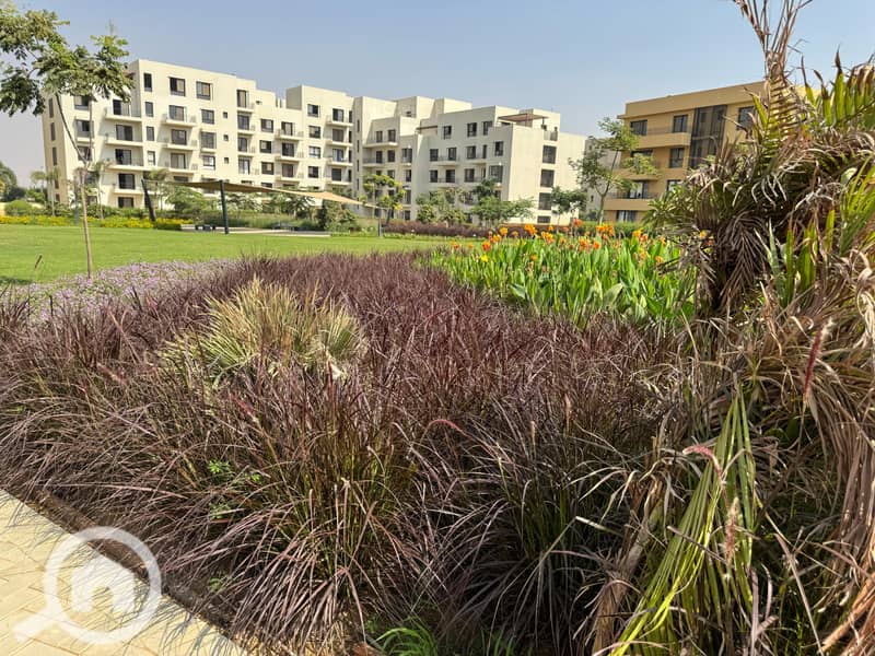 3 IMG-20250208-WA0013. jpg