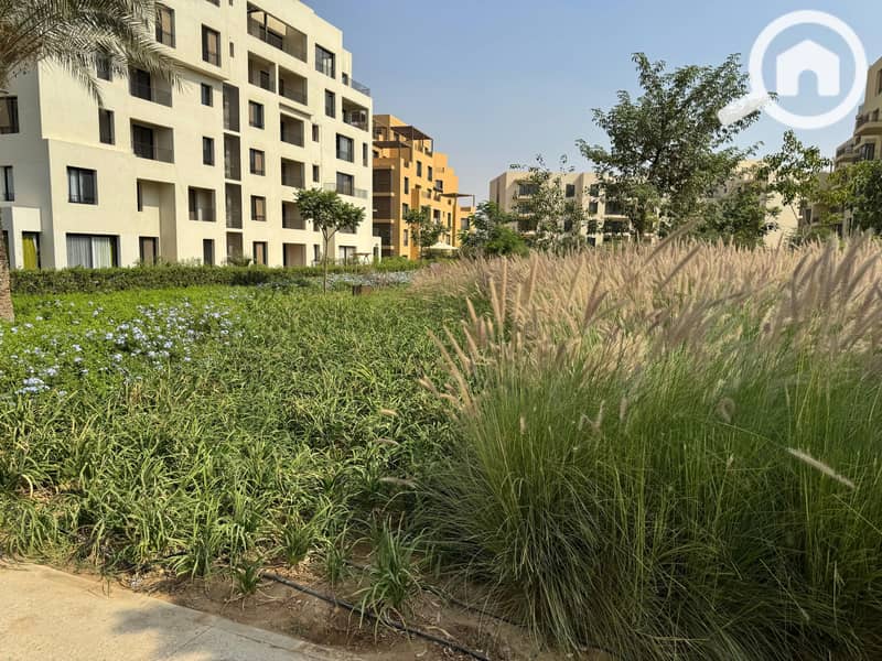 11 IMG-20250208-WA0019. jpg