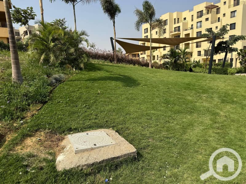 14 IMG-20250208-WA0026. jpg