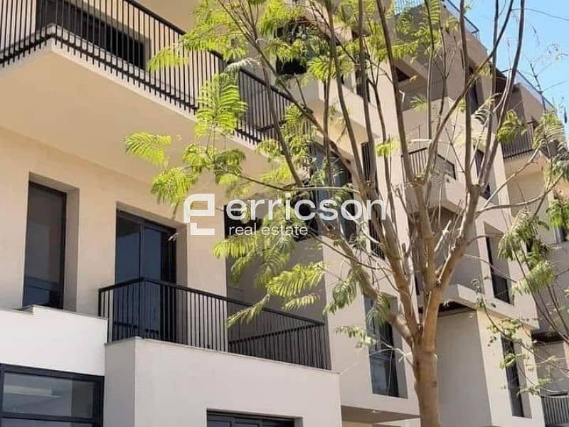 2 Untitled design (2). jpg