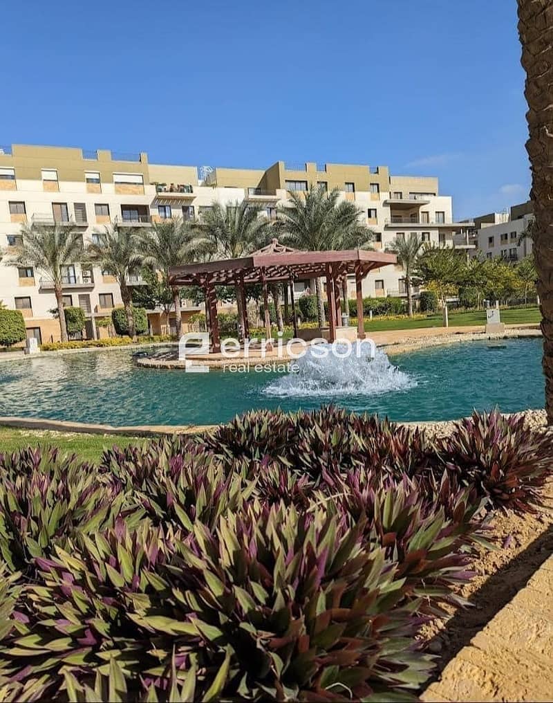 14 391620099_1035481550828574_7823412830308965899_n. jpg