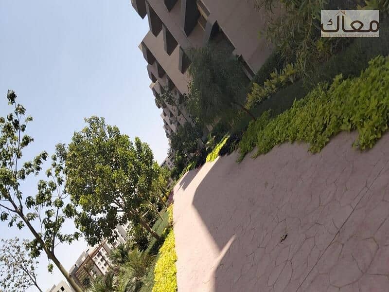 3 Copy of WhatsApp Image 2025-06-18 at 20.35. 11 (2). jpeg