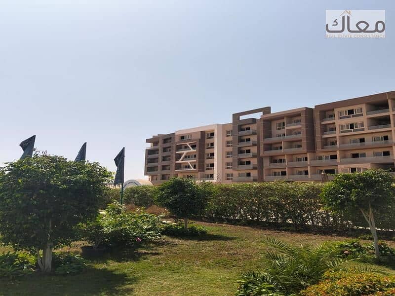 5 Copy of WhatsApp Image 2025-06-18 at 20.35. 13 (2). jpeg