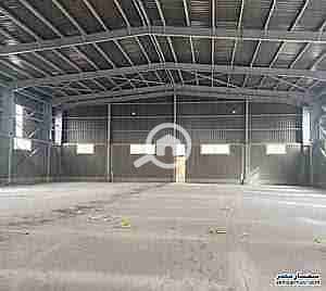 1000239890. jpg 1000239890. jpg