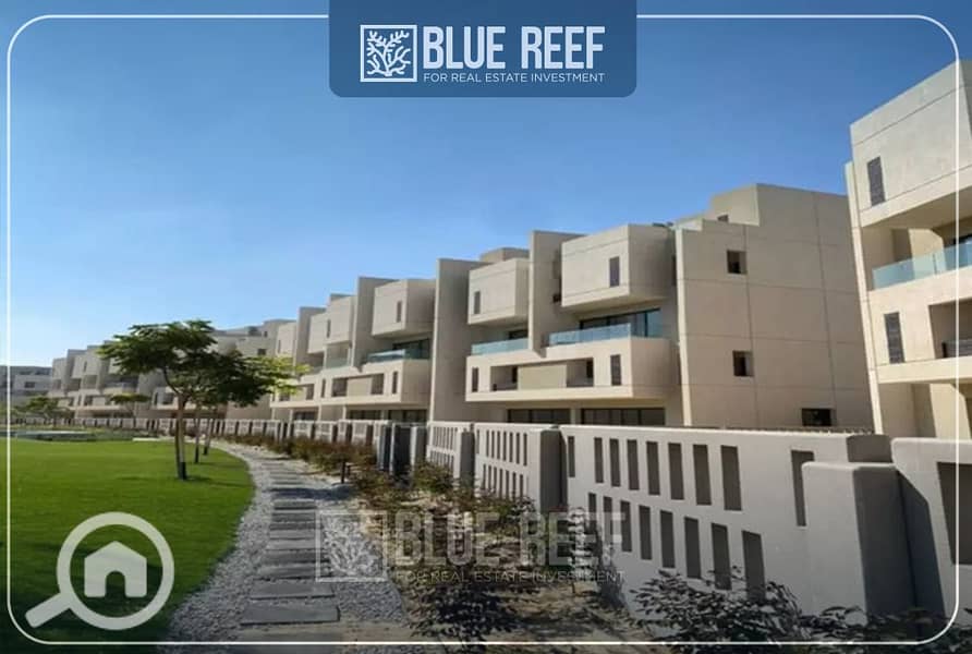 10 لاىبيس. jpg