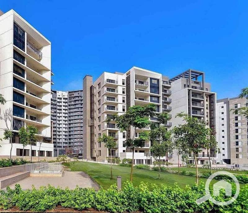 6 554099995_2193902447766076_6737490138708751773_n. jpg