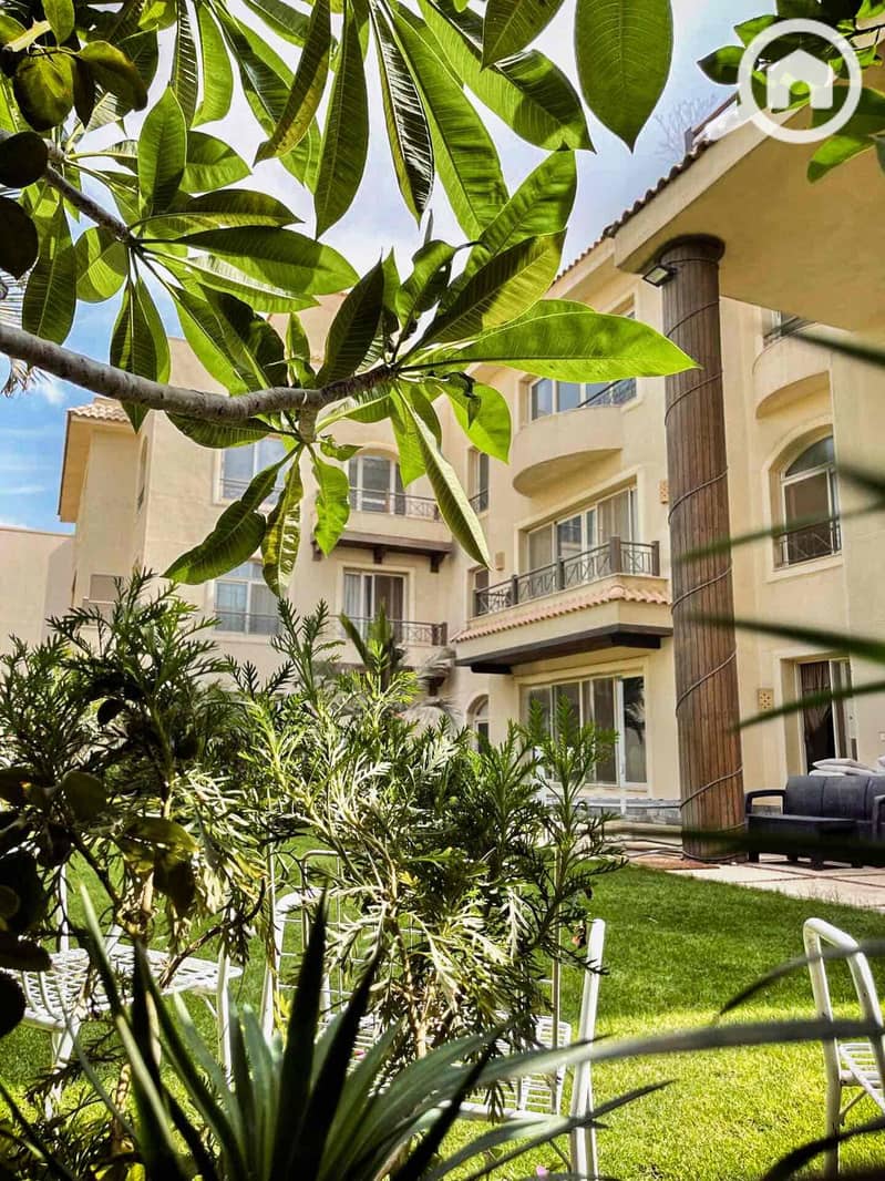 14 1ece2ca3-96be-44ad-9da9-281f02a855e4. jpg